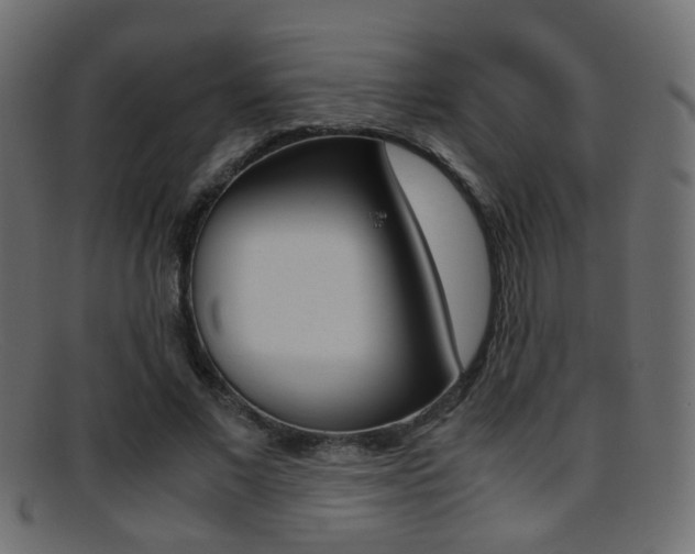 X0000095690685200801081039