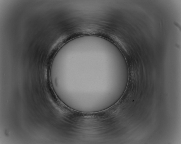 X0000095690686200801081039