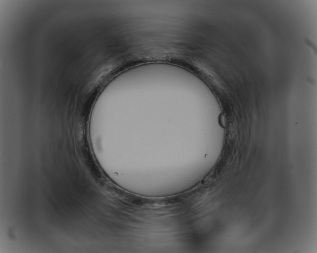 X0000095690687200801081039