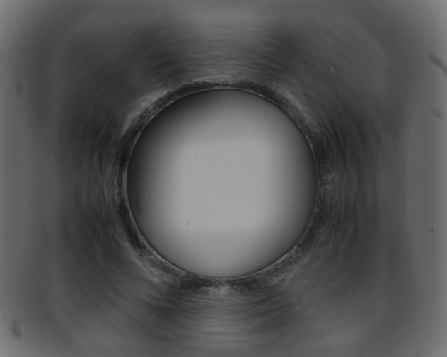 X0000095690688200801081039