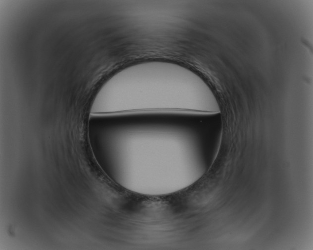 X0000095690689200801081039