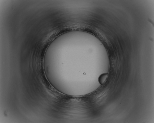 X0000095690690200801081039
