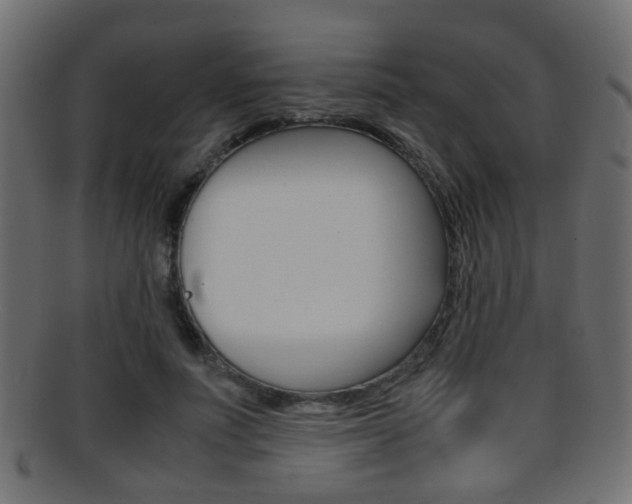X0000095690691200801081039