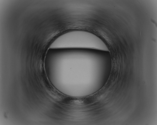 X0000095690692200801081039