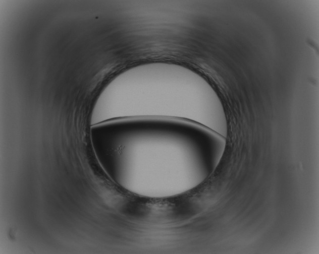 X0000095690693200801081039
