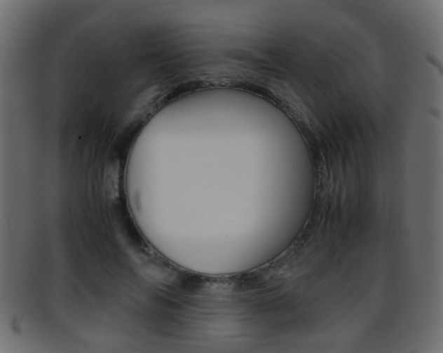 X0000095690694200801081039