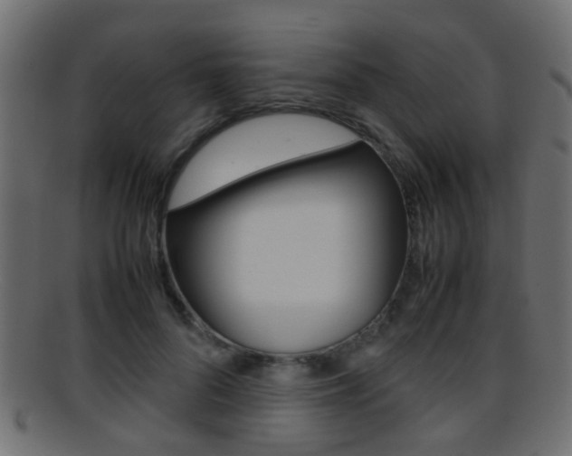 X0000095690696200801081039
