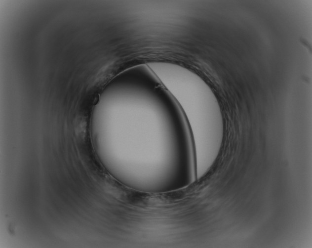 X0000095690697200801081039