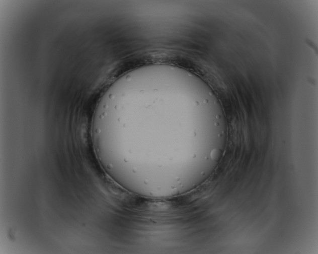 X0000095690698200801081039