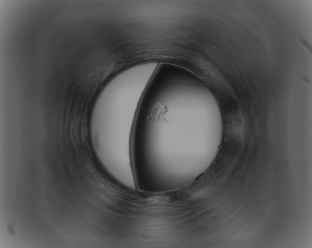 X0000095690700200801081039