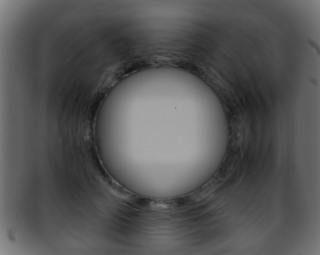 X0000095690706200801081039