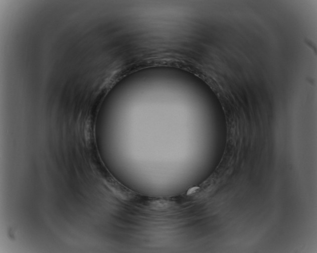 X0000095690708200801081039