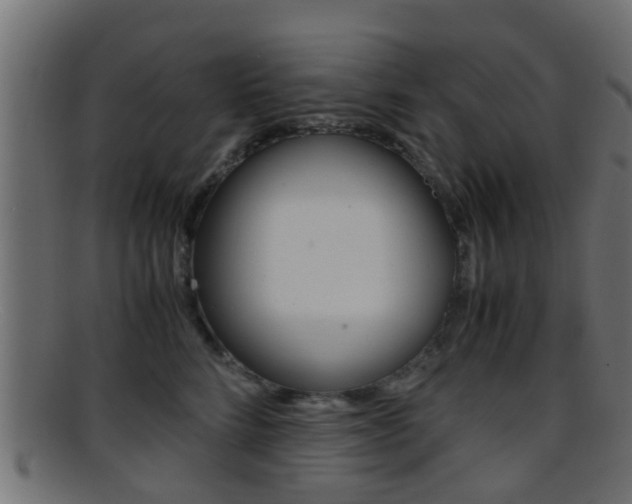 X0000095690712200801081039