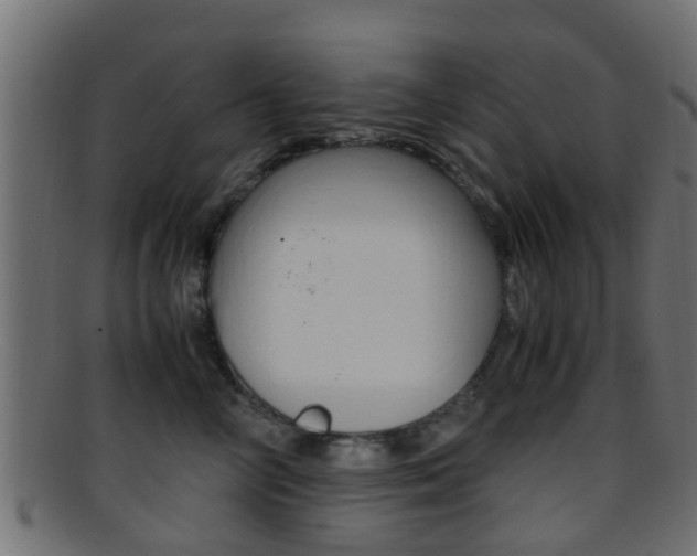 X0000095690714200801081039