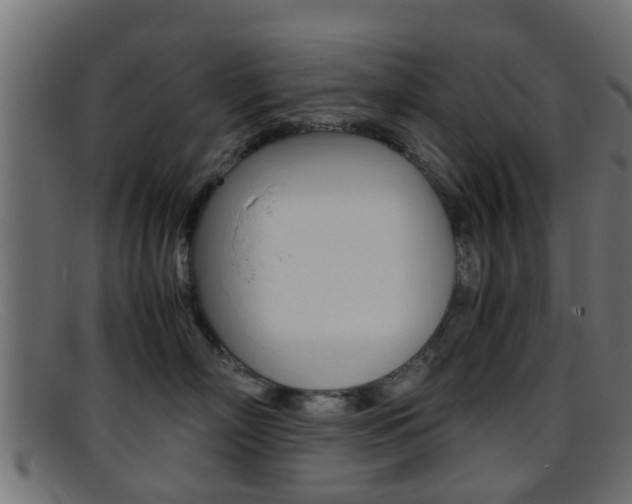 X0000095690718200801081039