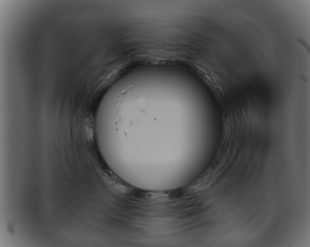 X0000095690719200801081039