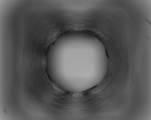 X0000095690720200801081039