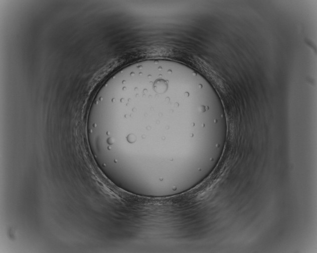 X0000095690721200801081038