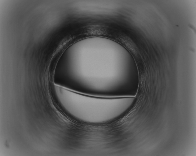 X0000095690722200801081038