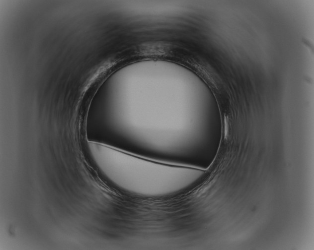 X0000095690723200801081038