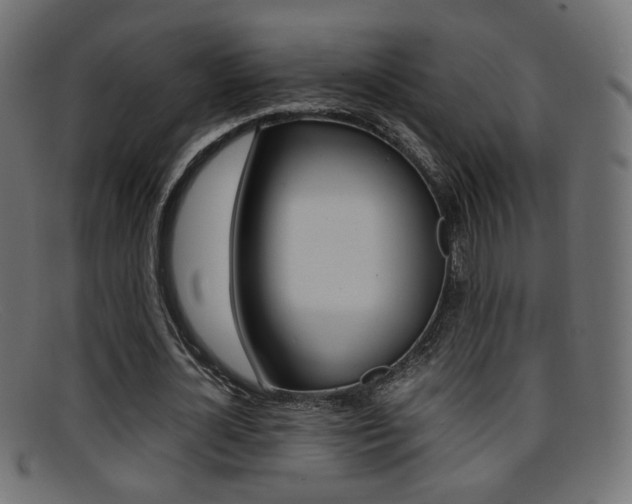X0000095690724200801081038