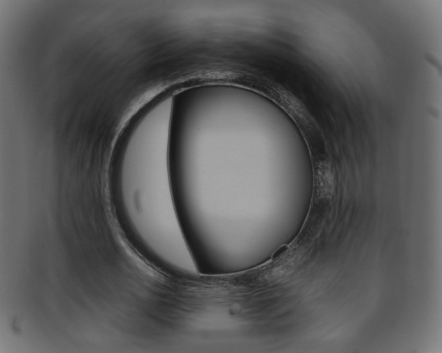 X0000095690726200801081038