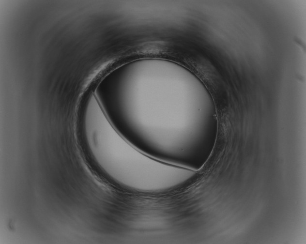X0000095690728200801081038