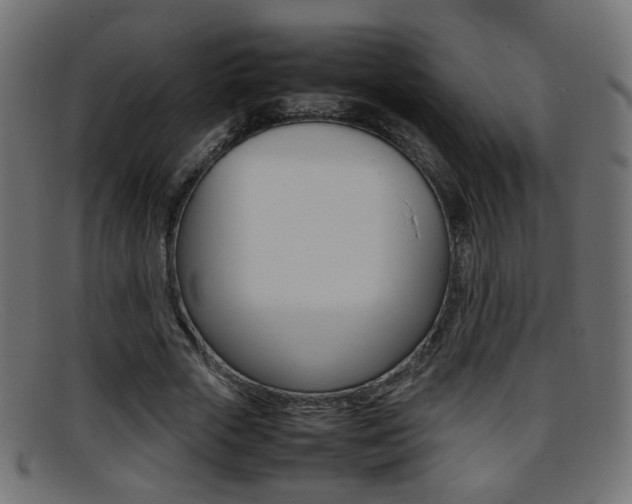 X0000095690729200801081038