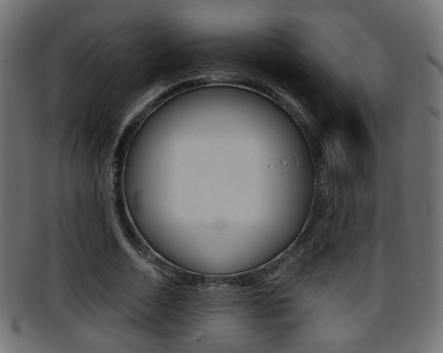 X0000095690730200801081038
