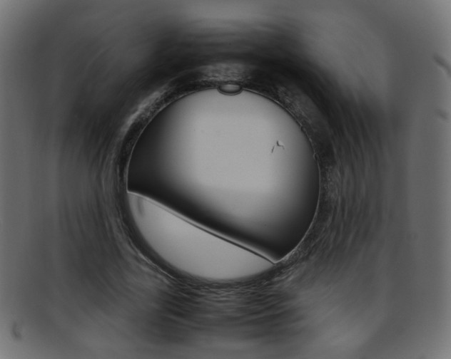 X0000095690731200801081038