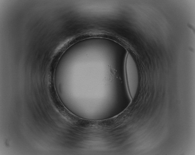 X0000095690732200801081038