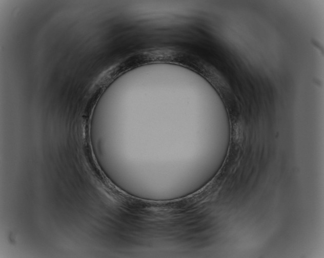 X0000095690733200801081038