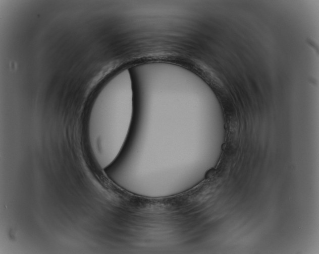 X0000095690734200801081038