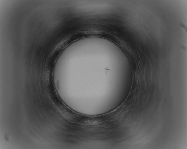 X0000095690735200801081038