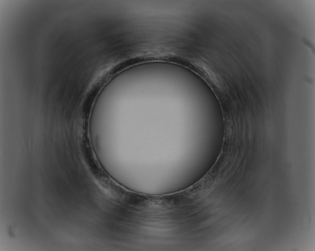 X0000095690736200801081038