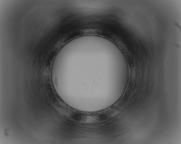 X0000095690737200801081038
