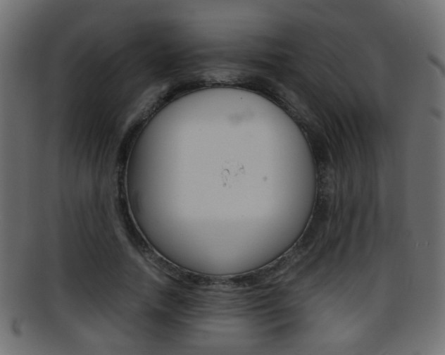 X0000095690738200801081038