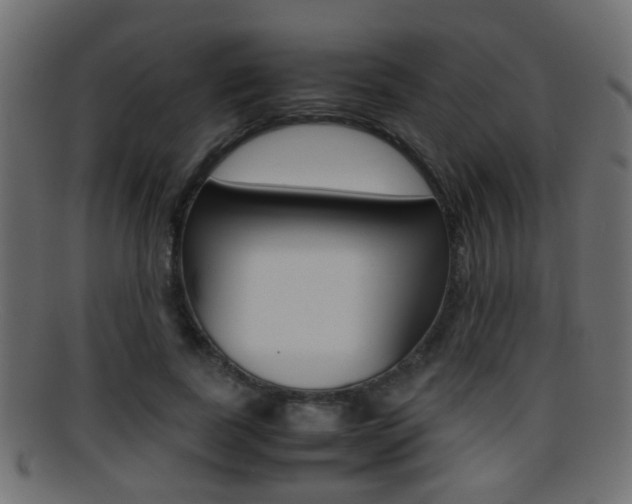 X0000095690739200801081038