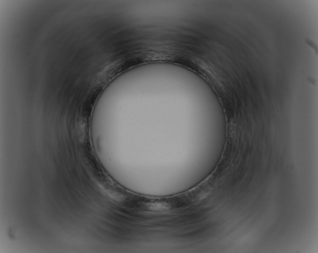 X0000095690741200801081038