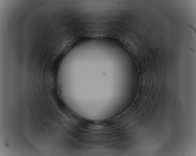 X0000095690743200801081038