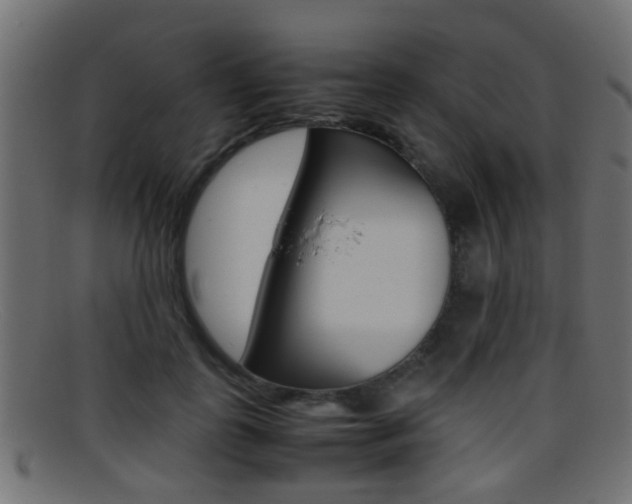 X0000095690747200801081038