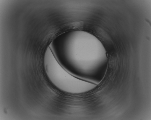 X0000095690748200801081038