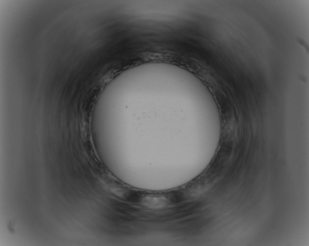 X0000095690749200801081038