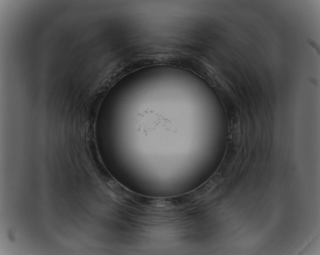 X0000095690750200801081038