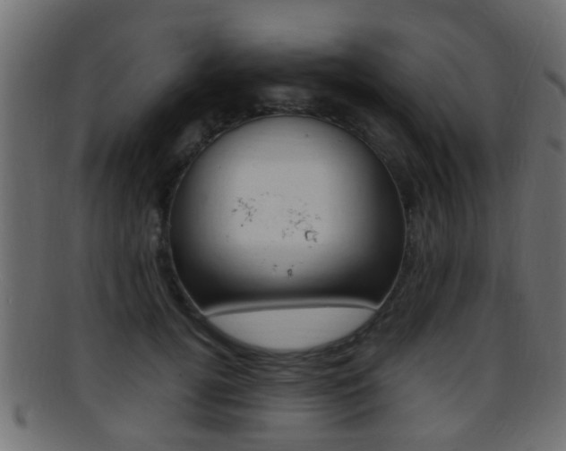 X0000095690752200801081038