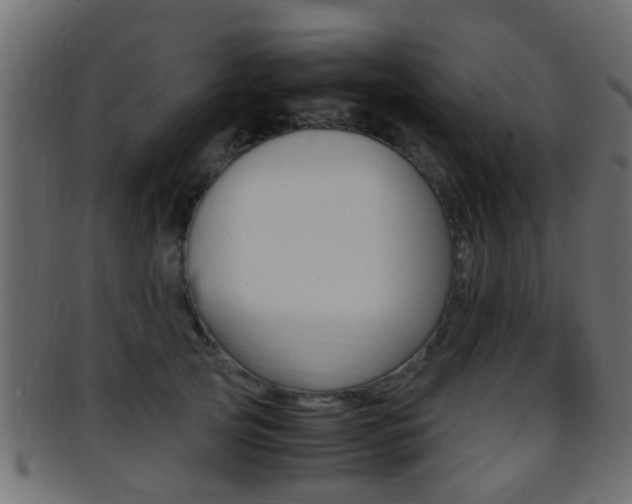 X0000095690753200801081038