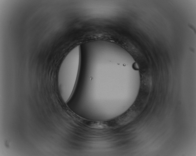 X0000095690754200801081038
