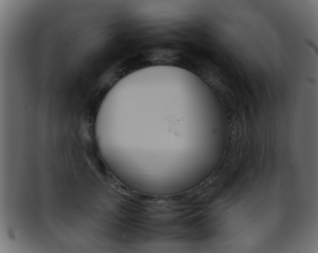 X0000095690755200801081038