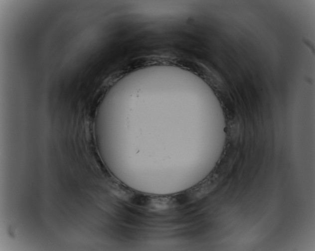 X0000095690757200801081038
