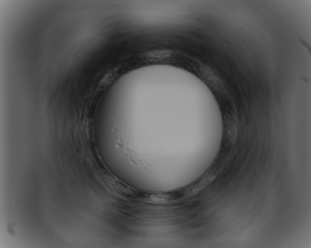 X0000095690758200801081038